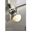 Ventilateur Globo CHAMPION Chrome, Acier inoxydable, Blanc, 1 lumière