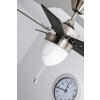 Ventilateur Globo MARVA Acier inoxydable, Gris, Nickel mat, Blanc, 1 lumière