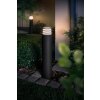 Borne lumineuse Philips Hue Ambiance White Lucca LED Anthracite, 1 lumière