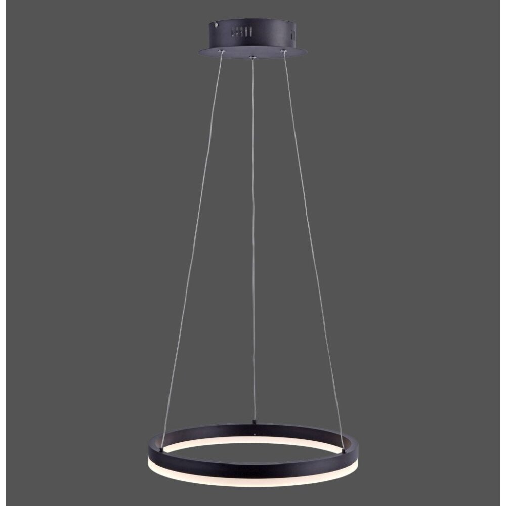 Suspension Paul Neuhaus TITUS LED Anthracite, 1 lumière