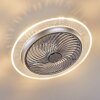 Ventilateur de plafond Tamworth LED Argenté, Transparent, 1 lumière, Télécommandes
