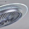 Ventilateur de plafond Tamworth LED Argenté, Transparent, 1 lumière, Télécommandes