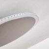 Plafonnier Aitrach LED Argenté, Blanc, 1 lumière