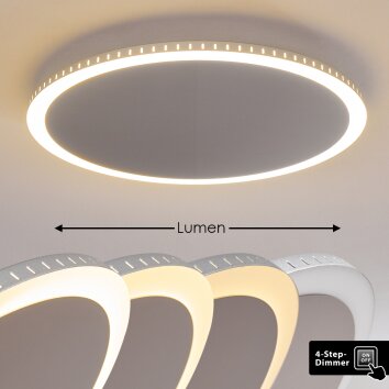 Plafonnier Aitrach LED Argenté, Blanc, 1 lumière
