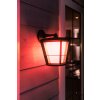 Applique murale Philips Hue Ambiance White & Color Econic LED Noir, 1 lumière, Changeur de couleurs