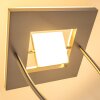 Lampadaire à vasque KIMBA LED Nickel mat, 3 lumières