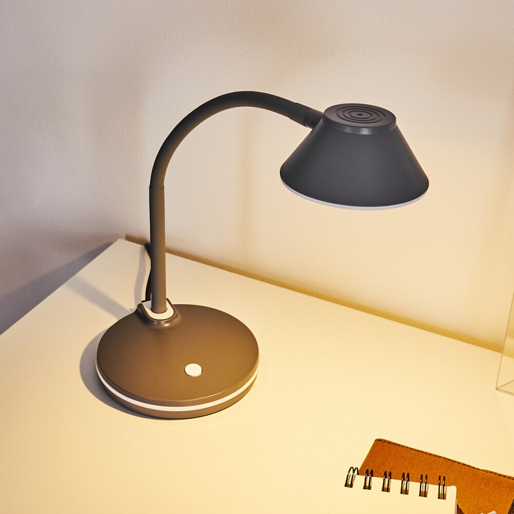 Lampe de table Shreveport LED Anthracite, Blanc, 1 lumière